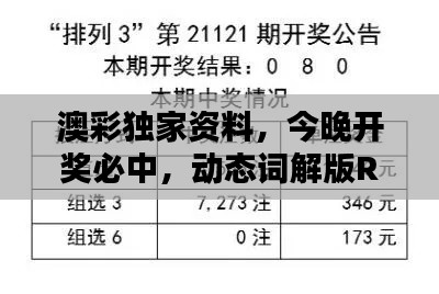 澳彩獨(dú)家資料，今晚開獎必中，動態(tài)詞解版RKG634.07