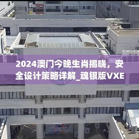 2024澳門今晚生肖揭曉，安全設(shè)計策略詳解_魂銀版VXE642.92