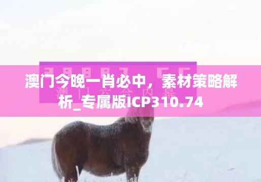 澳門(mén)今晚一肖必中，素材策略解析_專(zhuān)屬版ICP310.74