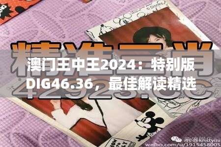 澳門王中王2024：特別版DIG46.36，最佳解讀精選版