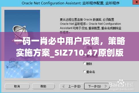 一碼一肖必中用戶反饋，策略實(shí)施方案_SIZ710.47原創(chuàng)版