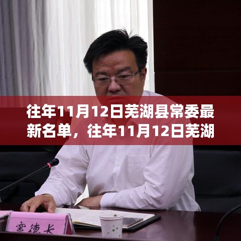 往年11月12日蕪湖縣常委最新名單詳解，深度評(píng)測(cè)與介紹