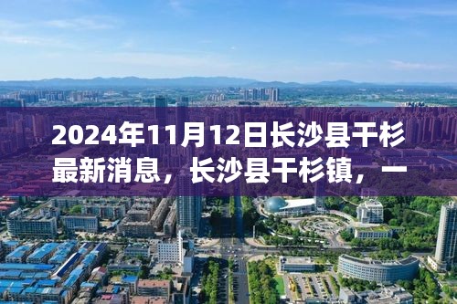 長(zhǎng)沙縣干杉鎮(zhèn)，溫馨日常的奇遇記（最新消息2024年11月12日）