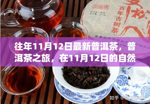 普洱茶之旅，在11月12日的自然懷抱中品味靜心之茶，探尋最新普洱茶的魅力