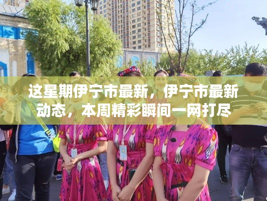 本周伊寧市最新動(dòng)態(tài)全景呈現(xiàn)，精彩瞬間一網(wǎng)打盡