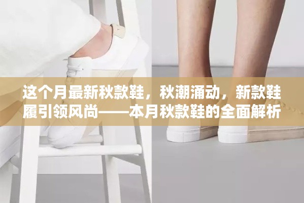 本月秋潮時尚引領者，新款鞋履引領風尚的全面解析