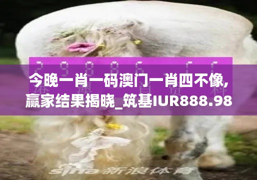 zhangjingniaohui 第4頁(yè)