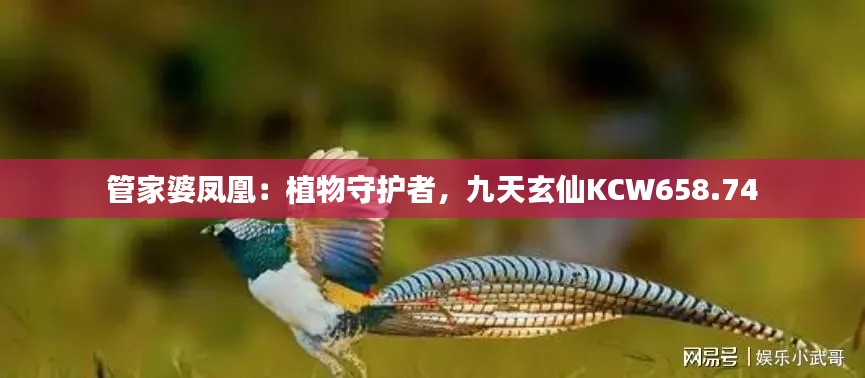 管家婆鳳凰：植物守護(hù)者，九天玄仙KCW658.74