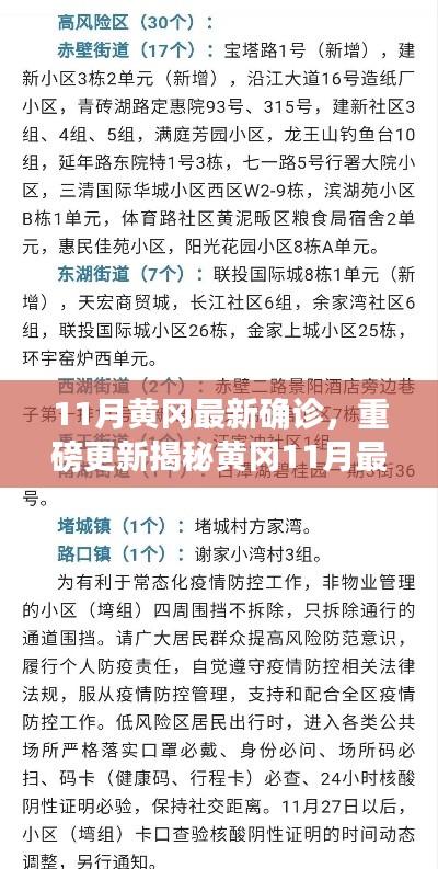 揭秘黃岡11月最新確診情況，深度解析防疫現(xiàn)狀，重要信息一覽無(wú)余