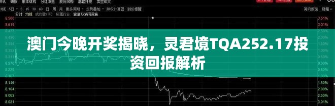 澳門今晚開獎(jiǎng)揭曉，靈君境TQA252.17投資回報(bào)解析