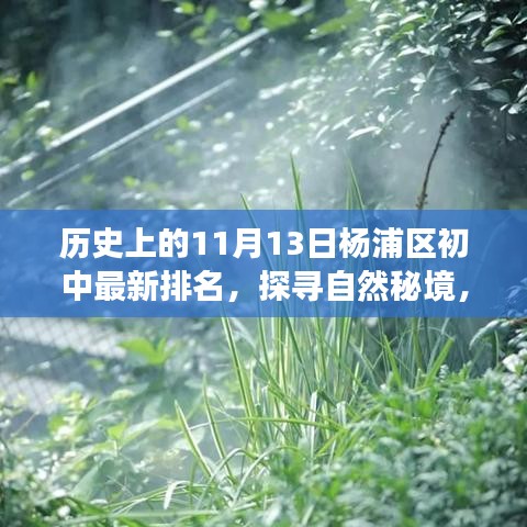 探尋自然秘境與心靈之旅，楊浦區(qū)初中排名背后的故事及最新排名（11月13日）