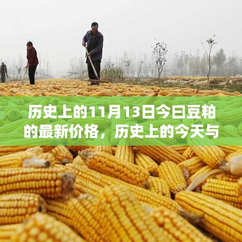 揭秘豆粕市場(chǎng)，今日價(jià)格走勢(shì)與歷史上的今天關(guān)聯(lián)揭秘
