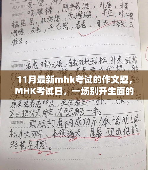 MHK考試日，作文冒險(xiǎn)之旅開啟