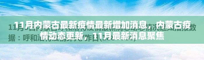 內(nèi)蒙古11月疫情最新動態(tài)，最新增加消息與聚焦