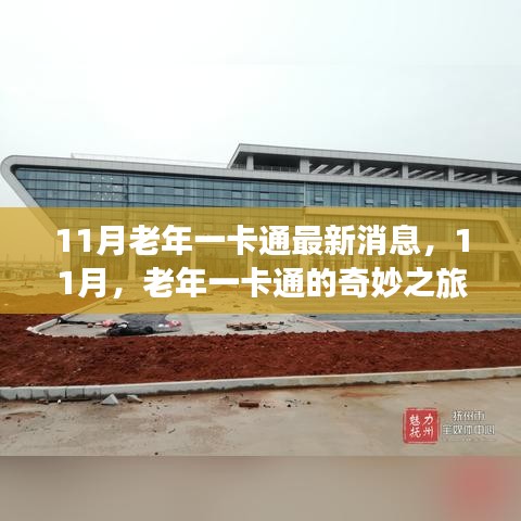11月老年一卡通最新動(dòng)態(tài)，奇妙之旅開啟