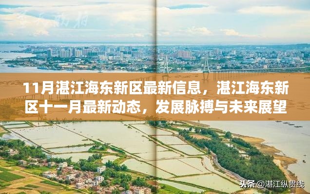湛江海東新區(qū)十一月最新動態(tài)，發(fā)展脈搏、未來展望與最新信息速遞