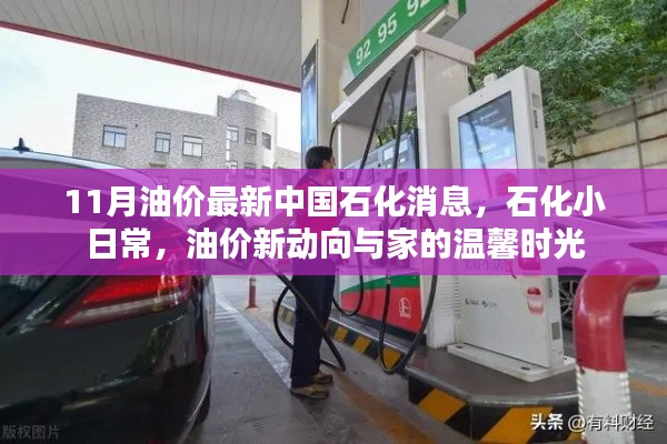 中國石化油價最新動態(tài)，日常石化生活與油價新動向的溫馨時光