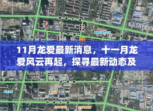 十一月龍愛風云再起，最新動態(tài)與時代地位探尋