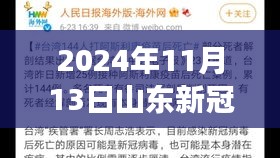 山東新冠疫情最新報告，多維視角下的深度分析（2024年11月13日）