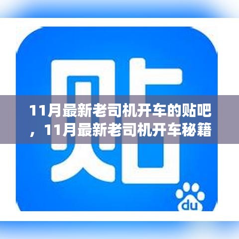 揭秘！11月最新老司機開車秘籍，貼吧駕駛技巧大解密！