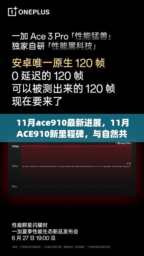 ACE910新里程碑，與自然共舞的心靈靜謐之旅（11月最新進展）