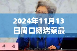 楊瑞案背后的故事，變化的力量與自信的重生最新進(jìn)展，周口楊瑞案深度剖析（2024年11月13日）