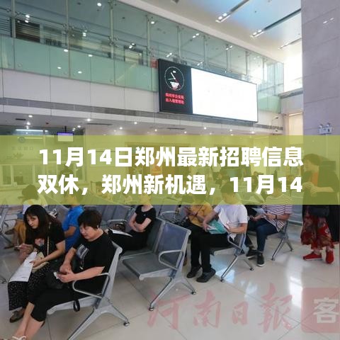 鄭州最新招聘信息揭秘，學(xué)習(xí)與成長(zhǎng)之旅，雙休路上的自信與成就感