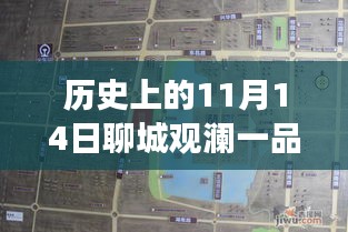 聊城觀瀾一品揭秘之旅，11月14日最新動(dòng)態(tài)探秘隱藏小巷