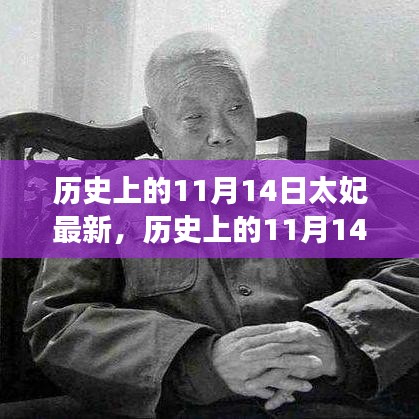 歷史上的11月14日太妃傳奇，最新解讀與影響全解析
