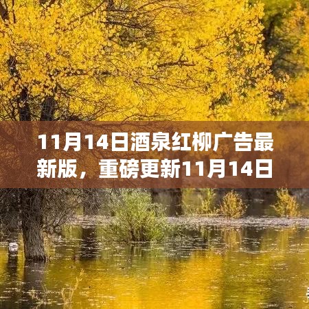 11月14日酒泉紅柳廣告最新版，重磅更新，精彩紛呈