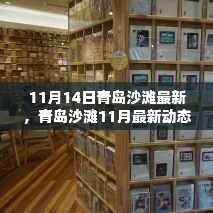 探尋秋日青島沙灘別樣風(fēng)情，最新動(dòng)態(tài)與沙灘風(fēng)情體驗(yàn)（11月篇）