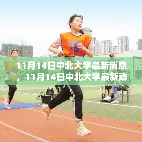 11月14日中北大學(xué)最新消息與動(dòng)態(tài)速遞，校園熱點(diǎn)一覽