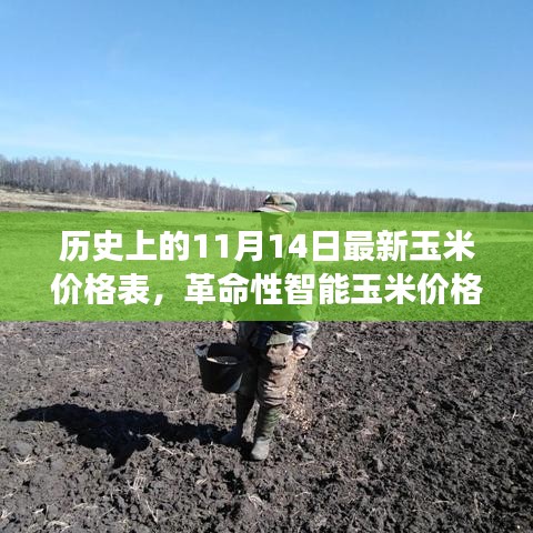 歷史上的11月14日玉米價(jià)格概覽，智能跟蹤器重塑農(nóng)業(yè)市場體驗(yàn)