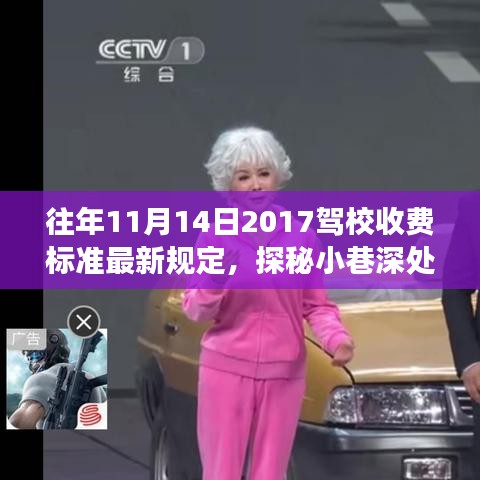 探秘駕校新規(guī)定下的駕駛夢想港灣，獨特學(xué)車體驗與最新收費標準揭秘