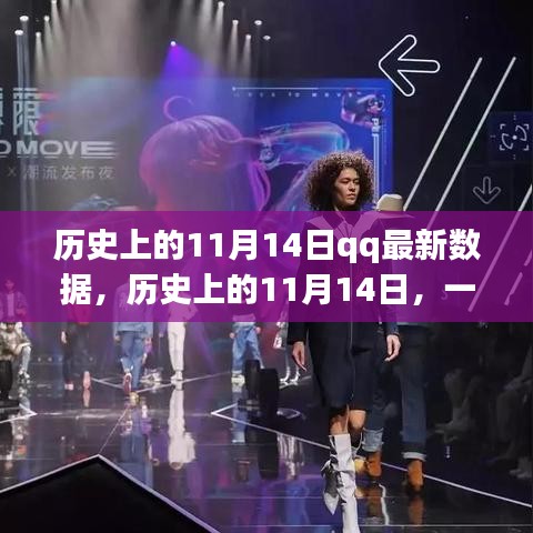 歷史上的11月14日，QQ數(shù)據(jù)揭秘與自然的共舞之旅