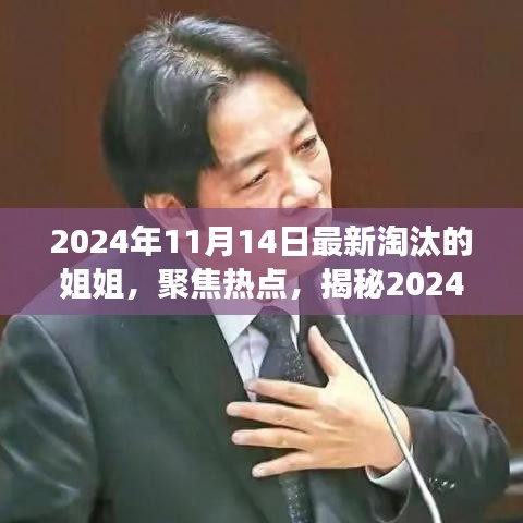 揭秘，2024年11月14日最新淘汰的姐姐背后的故事與熱點聚焦