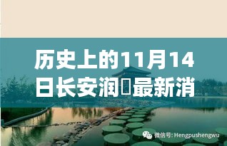 長安潤璟秘境探索，歷史與美食的碰撞時(shí)刻，最新消息揭秘秘密小店