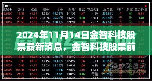 金智科技最新動態(tài)及前景展望，深度解讀2024年11月14日股市消息