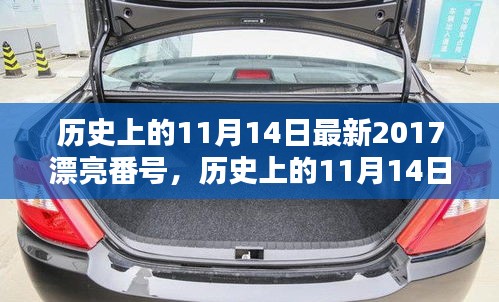 歷史上的11月14日最新2017漂亮番號，歷史上的11月14日，探尋那些閃耀的瞬間與美好記憶??