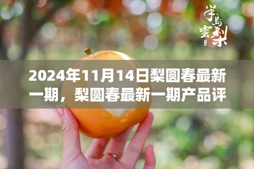 梨圓春產(chǎn)品評(píng)測(cè)報(bào)告，特性、體驗(yàn)、對(duì)比與用戶(hù)需求深度解析