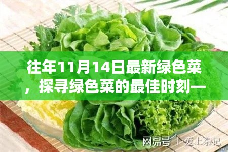 探尋綠色菜的最佳時(shí)刻，以往年11月14日為例的蔬菜盛宴