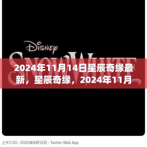 星辰奇緣夢(mèng)幻邂逅，2024年11月14日星辰大海的最新揭秘