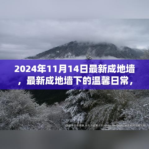 最新成地墻下的溫馨日常，友誼與愛共筑美好家園的2024年1月記事