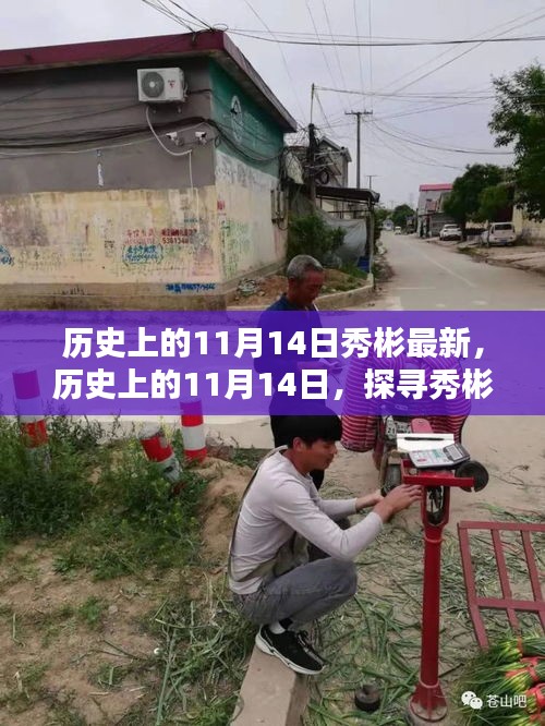 探尋秀彬的最新足跡，歷史上的11月14日回顧與最新進(jìn)展