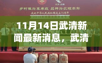 武清新聞最新消息，踏秋探尋自然秘境，心靈之旅啟程