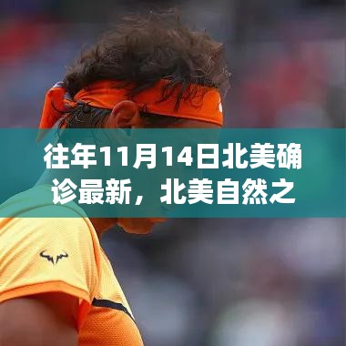 北美自然之旅，探尋美景與內(nèi)心寧靜的旅程，歷年北美確診最新資訊回顧