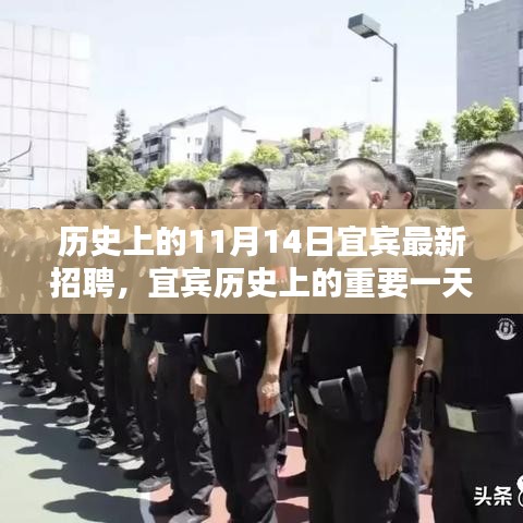 宜賓歷史上的重要一天，揭秘十一月十四日最新招聘及其深遠影響