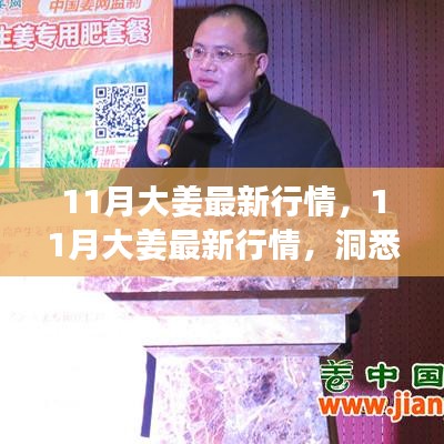 揭秘11月大姜最新行情，市場動態(tài)與價格走勢一網(wǎng)打盡