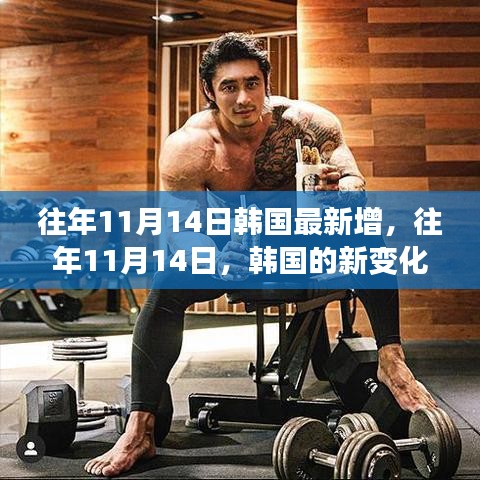 韓國(guó)成長(zhǎng)之路，歷年11月14日的新變化概覽
