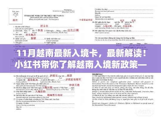 小紅書解讀，最新越南入境卡詳解及新政策解析